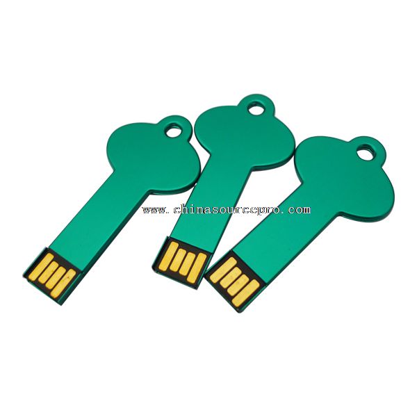 usb flash drive key chain