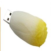 kubis yang berbentuk stik usb images