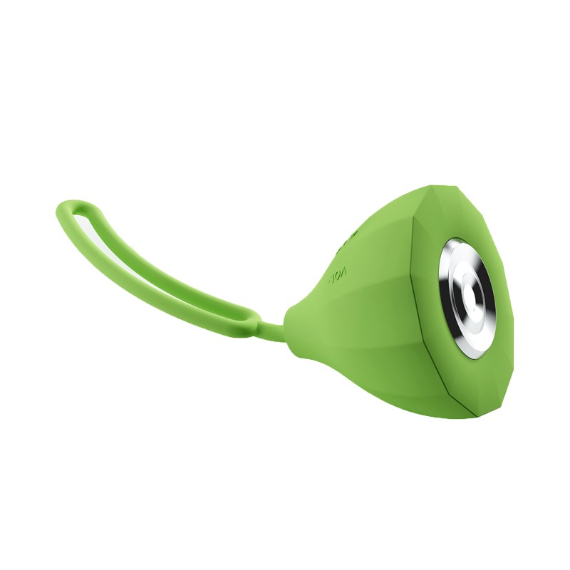 speakers with microphone input