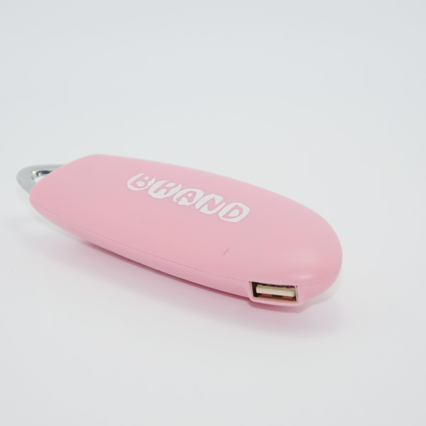 pebble power banks