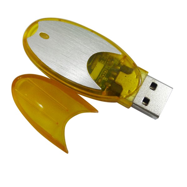  القلم 2 غيغابايت محرك أقراص usb 